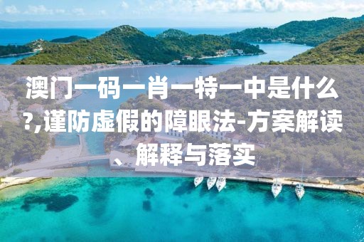 澳门一码一肖一特一中是什么?,谨防虚假的障眼法-方案解读、解释与落实
